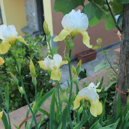 Ester * Polverara