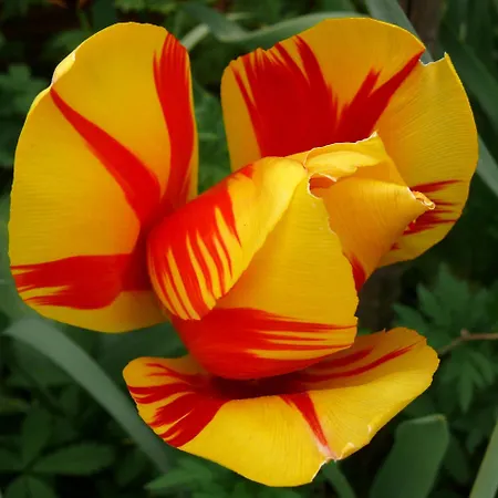 بيت للعطل Ester Polverara