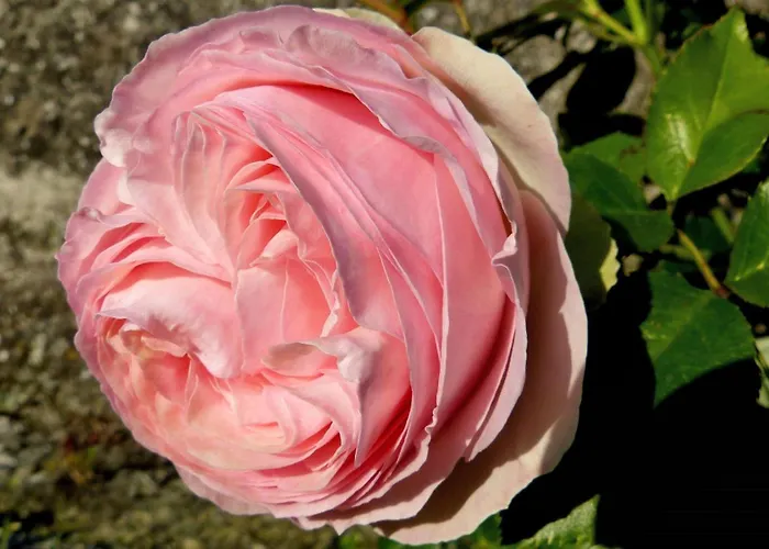 Ester Сasa de vacaciones *