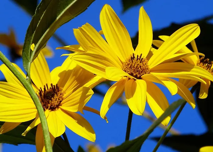 Сasa de vacaciones Ester *