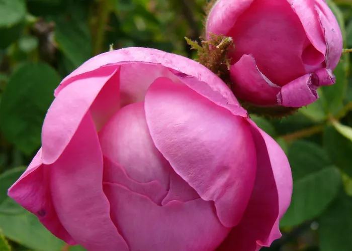 Сasa de vacaciones Ester