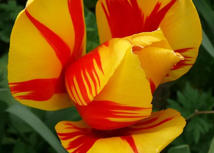 Сasa de vacaciones Ester *