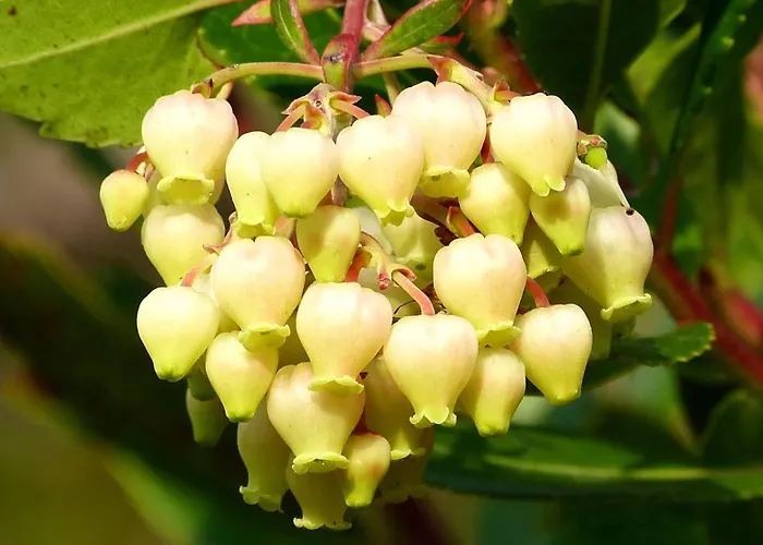 Ester Сasa de vacaciones *